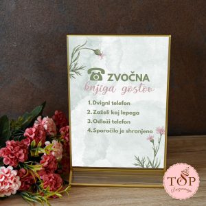 Izposoja napisa za zvočno knjigo gostov z nageljčki.